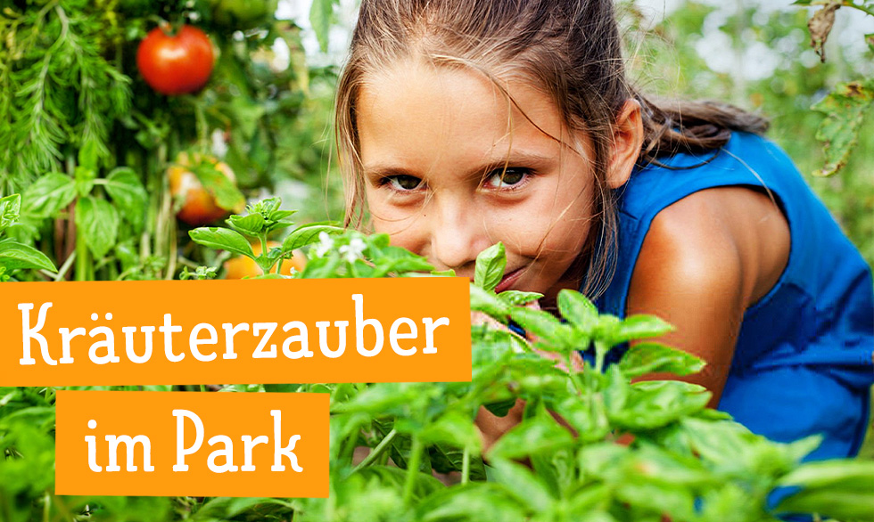 Kräuterzauber im Park